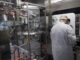La producción de la vacuna de la covid-19, un reto en el que España participa farmacia