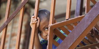 La malnutrición por covid puede causar la muerte de 168.000 niños en el mundo niño