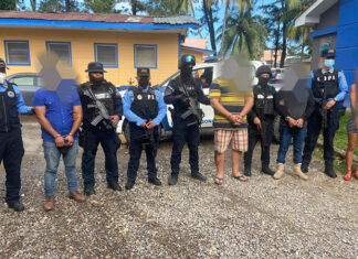 Desarticulada estructura criminal «Los Pumas» en la zona atlántica
