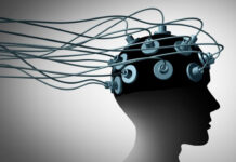 Crean implante cerebral que podría ayudar a personas ciegas a percibir formas