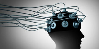 Crean implante cerebral que podría ayudar a personas ciegas a percibir formas