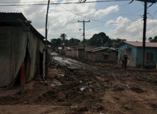 Misión de Taiwán explora posibilidad de ayudar en reconstrucción de Honduras