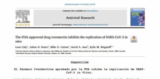 Ivermectina aprobado por la FDA inhibe la replicación de Covid-19 en ensayos