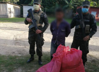 Proceso penal a individuo que transportaba unas cinco mil hojas de coca