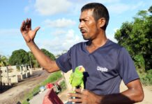 Damnificados hondureños de La Democracia hundida en lodo claman por ayuda