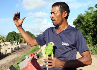 Huracanes Eta e Iota agravaron condición de animales de patio en Nicaragua
