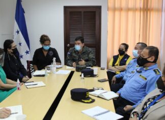Autoridades del INP presentaron plan de reapertura de visita, en centros penitenciarios a Salud y Sinager
