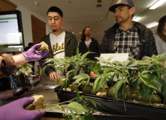 San Francisco prohíbe fumar tabaco en casa, pero permite la marihuana