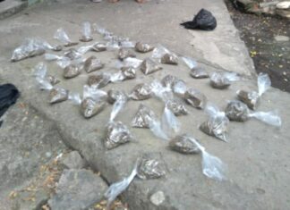 En posesión de varios envoltorios de supuesta marihuana, policías preventivos arrestan a dos distribuidores de droga