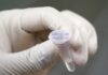 Cuáles son las farmacéuticas que pelean por la vacuna de la covid-19