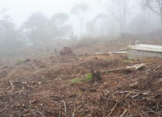 Fiscalía del Medio Ambiente ejecuta inspecciones en zonas de reserva por denuncias de daños ambientales