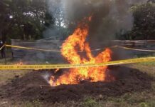 Policía Nacional y Ministerio Público incineran droga decomisada