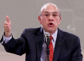 Expandir la vacuna en todo el mundo tomará «cerca de un año», según la OCDE