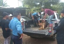 Encuentran vivo a un señor semanas después de permanecer soterrado bajo el lodo tras paso del Iota