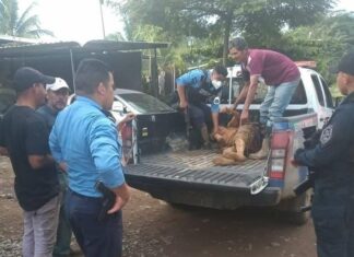 Encuentran vivo a un señor semanas después de permanecer soterrado bajo el lodo tras paso del Iota