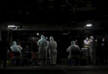 El equipo de expertos de la OMS, en Wuhan para investigar el origen del virus