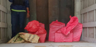 Decomisan 178 kilos de cocaína en operativo en La Ceiba