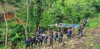 Incineran 17 mil plantas de coca y destruyen narcolaboratorio en Colón