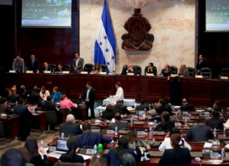 Analista Político cree que el CN si aprobará presupuesto adicional solicitado por el CNE