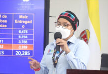 Salud llama a cumplir medidas de bioseguridad para que casos de covid-19 no sigan aumentando