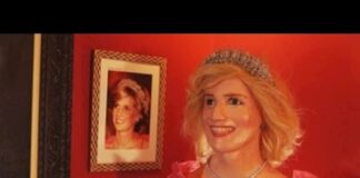 Internet se rinde al peculiar «museo de cera» de un empresario brasileño