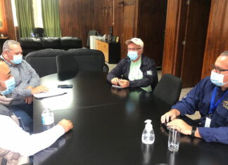 Definen plan de acción para la producción de semilla de granos básicos