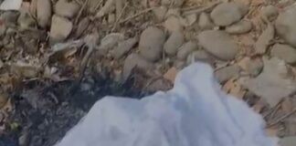 ¡Inhumano! Encuentran el cuerpecito de un bebé calcinado, en un sector de Marcovia, Choluteca