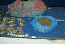 En posesión de supuesta marihuana es arrestado distribuidor de drogas a menor escala