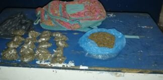 En posesión de supuesta marihuana es arrestado distribuidor de drogas a menor escala