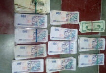 Con más de medio millón de lempiras sujeto es detenido