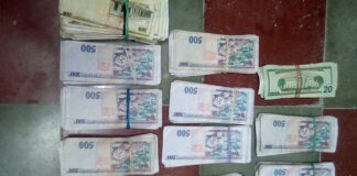 Con más de medio millón de lempiras sujeto es detenido