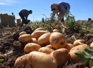 Más de 160 familias serán beneficiadas con proyectos de producción del PDAH