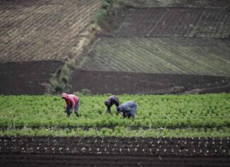 IICA y Cooperación Española inician colaboración enfocada en Centroamérica
