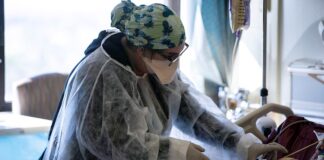 Estados Unidos supera el medio millón de muertos por covid-19
