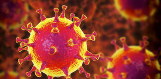 Una mutación en la proteína S de SARS-Cov-2 lo hace ocho veces más infeccioso