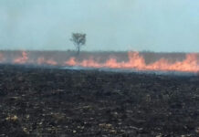Incendio arrasa unas 3.000 hectáreas de parque natural del este de Colombia
