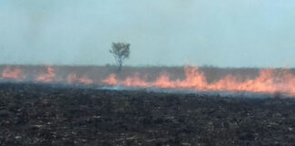 Incendio arrasa unas 3.000 hectáreas de parque natural del este de Colombia