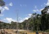 Detienen en Colombia a 40 personas por deforestación y minería ilegal
