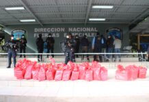 Más de 1300 kilos de supuesta cocaína incautada fue el resultado de impactante operación ejecutada por Agentes Antidrogas