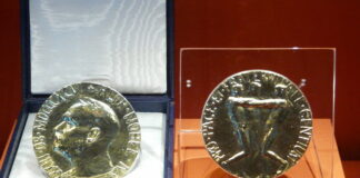 Sudáfrica propondrá a las brigadas de médicos cubanos para el Nobel de la Paz