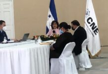 CNE sesionará con Ana Paola Hall el próximo domingo