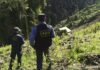 Policía Nacional localiza más de 15 mil arbustos de supuesta coca en la zona atlántica del país