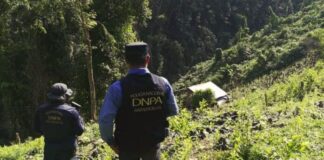 Policía Nacional localiza más de 15 mil arbustos de supuesta coca en la zona atlántica del país