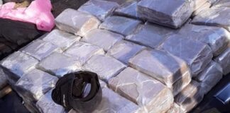 Prisión Preventiva le decretan a seis presuntos miembros de la MS capturados con armas, drogas e indumentaria policial
