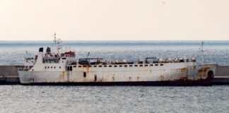 El Gobierno español ordena el sacrificio de 900 terneros a bordo de un barco