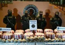 FNAMP decomisa un cargamento de droga valorado en más de medio millón de lempiras