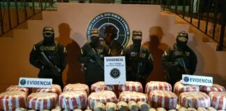 FNAMP decomisa un cargamento de droga valorado en más de medio millón de lempiras