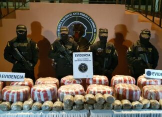 FNAMP decomisa un cargamento de droga valorado en más de medio millón de lempiras