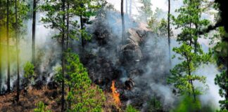 Parque nacional Montaña de Celaque arde en llamas
