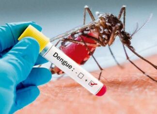 Aumento de casos por dengue pone en Alerta Roja ocho departamentos de Honduras